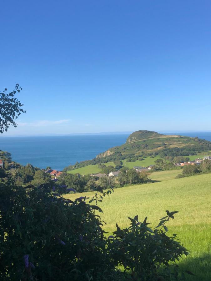 Ilfracombe Apartments Bagian luar foto